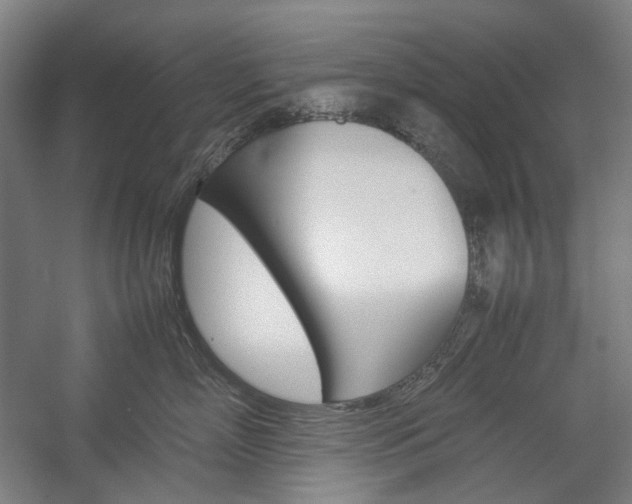 X0000057040718200509090816