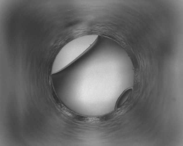 X0000057040719200509090816