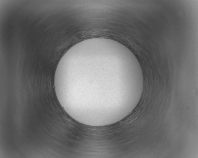X0000057040720200509090816