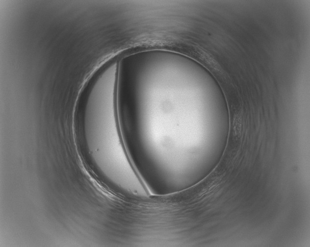 X0000057040722200509090815