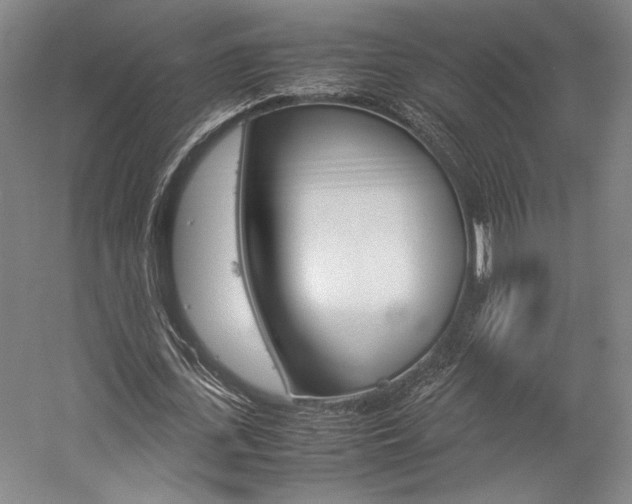 X0000057040723200509090815