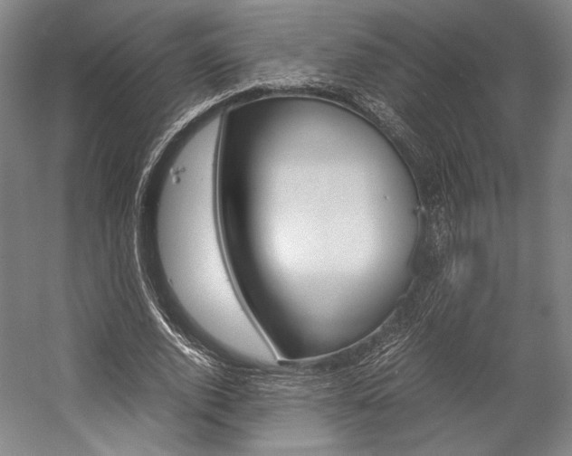 X0000057040728200509090815