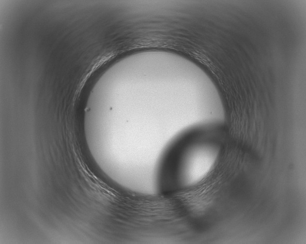 X0000057040731200509090815
