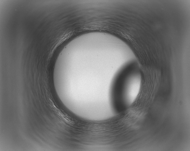 X0000057040735200509090816