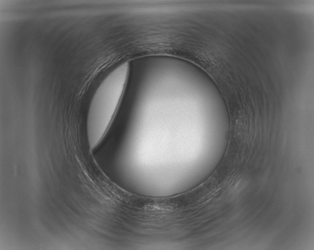 X0000057040739200509090816