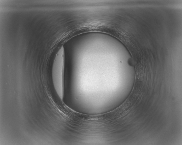 X0000057040740200509090816