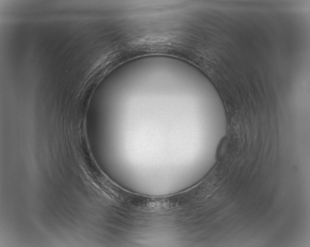 X0000057040744200509090816