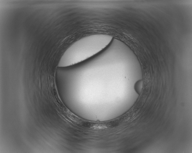 X0000057040749200509090816