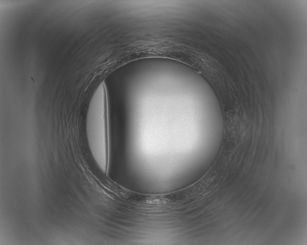 X0000057040752200509090816