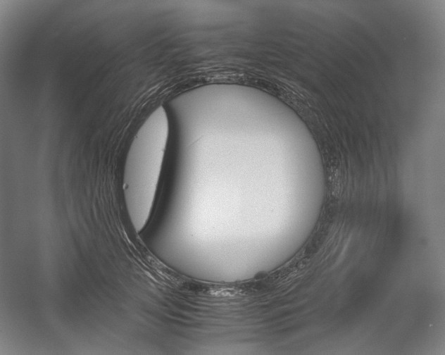 X0000057040753200509090816