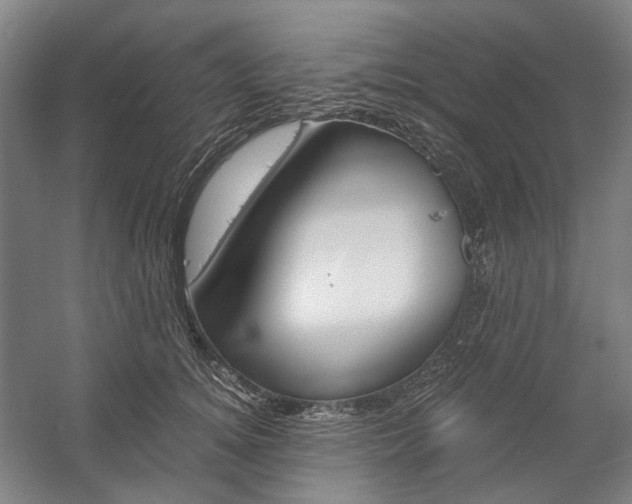 X0000057040756200509090816