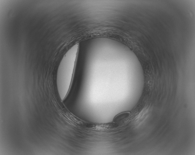 X0000057040758200509090816