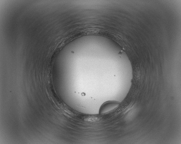 X0000057040759200509090816