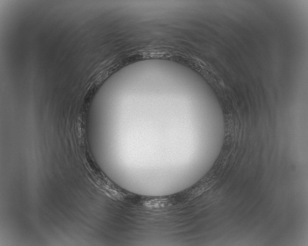 X0000057040761200509090816