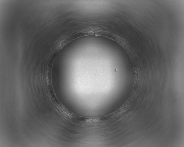 X0000057040762200509090816