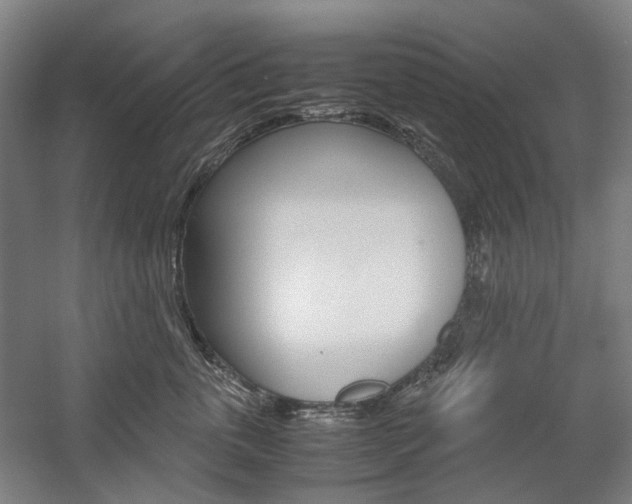 X0000057040763200509090816