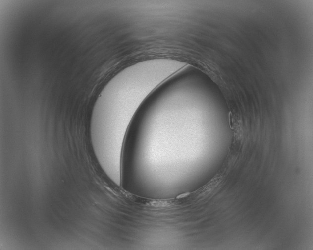 X0000057040766200509090816