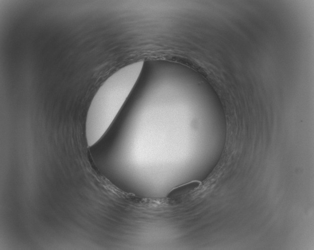 X0000057040768200509090816