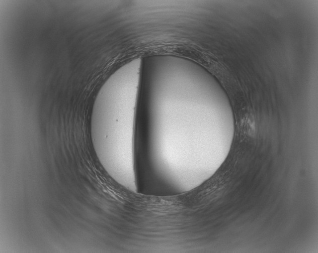 X0000057040772200509090815