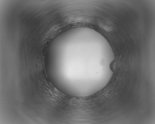 X0000057040774200509090815