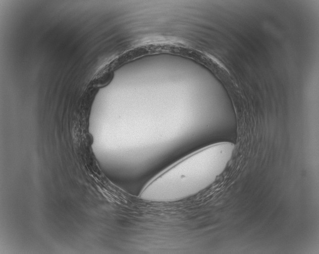 X0000057040775200509090815
