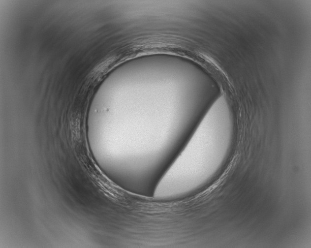 X0000057040777200509090815