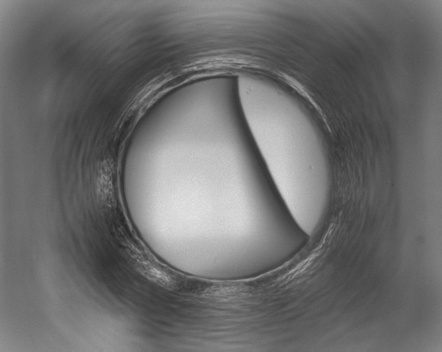 X0000057040778200509090815