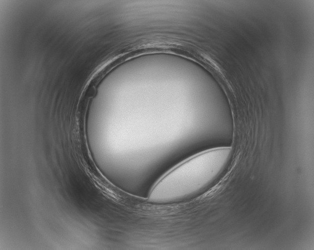 X0000057040779200509090815