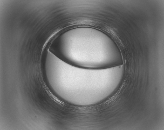 X0000057040780200509090815