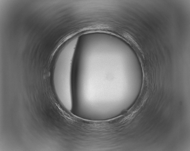 X0000057040781200509090815