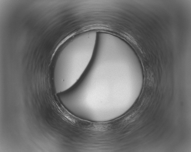 X0000057040782200509090815
