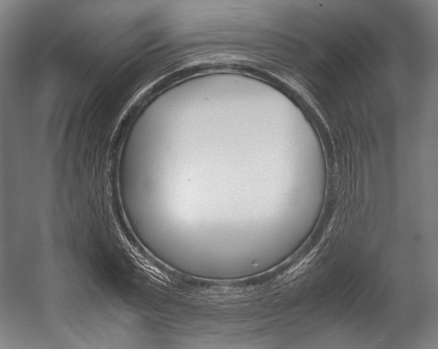X0000057040783200509090815