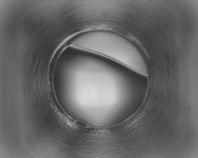 X0000057040784200509090815