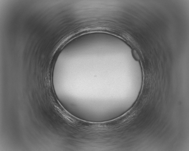 X0000057040789200509090815