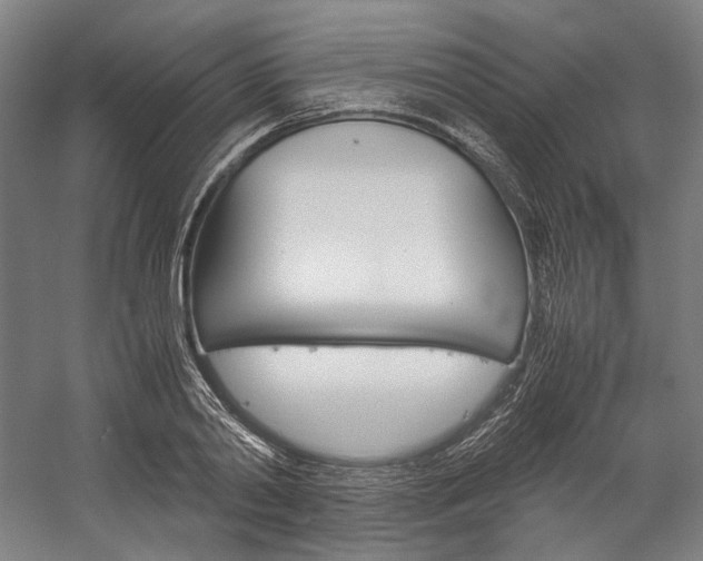 X0000057040790200509090815