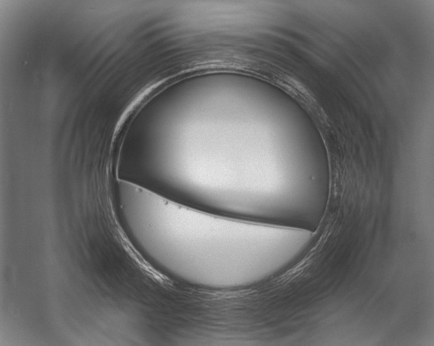 X0000057040796200509090815