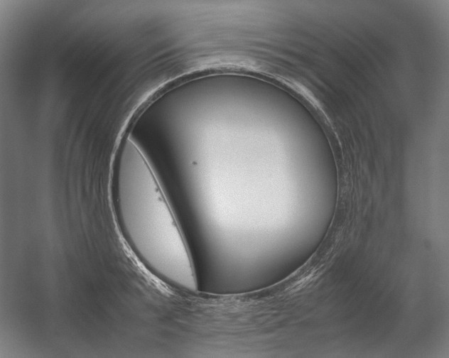 X0000057040799200509090815