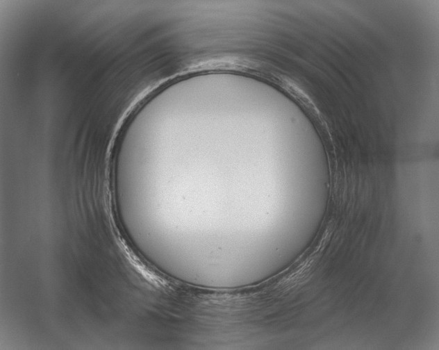 X0000057040800200509090815