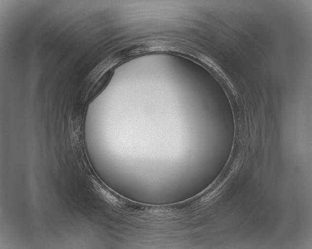 X0000057040801200509090815
