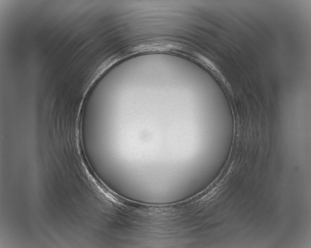 X0000057040802200509090815