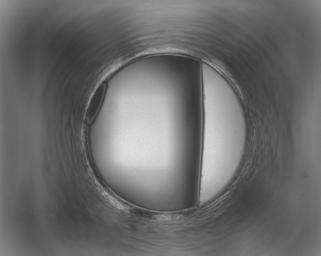 X0000057040805200509090815