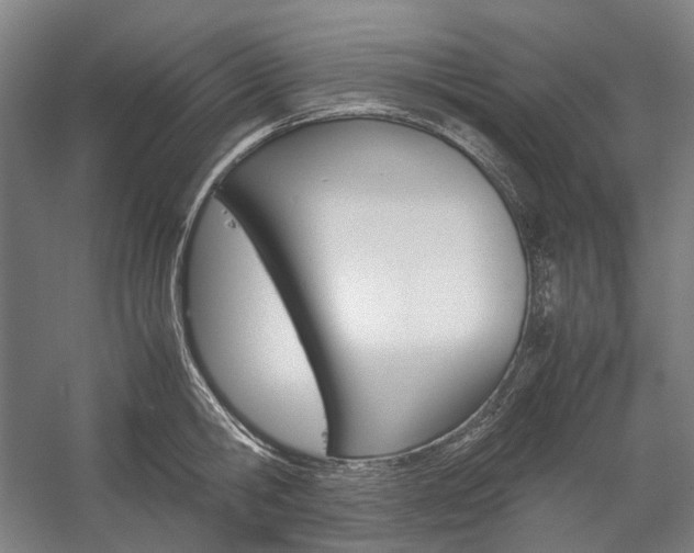 X0000057040806200509090815