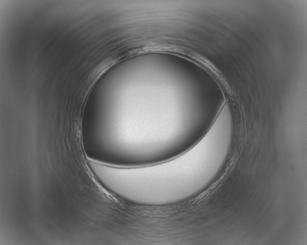 X0000057040809200509090815