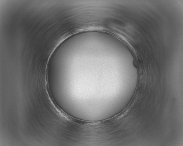 X0000057040810200509090815