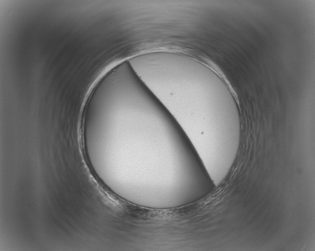 X0000057040811200509090815