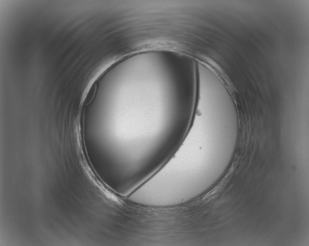 X0000057040812200509090815