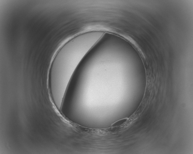 X0000057040815200509090814