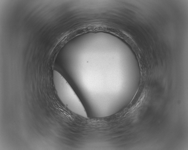 X0000057040823200509090814