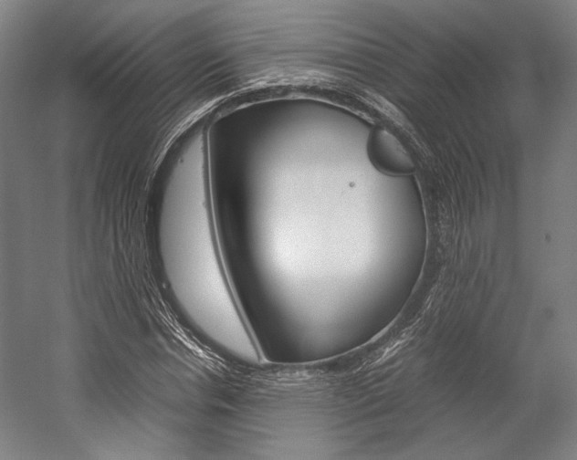 X0000057040826200509090814