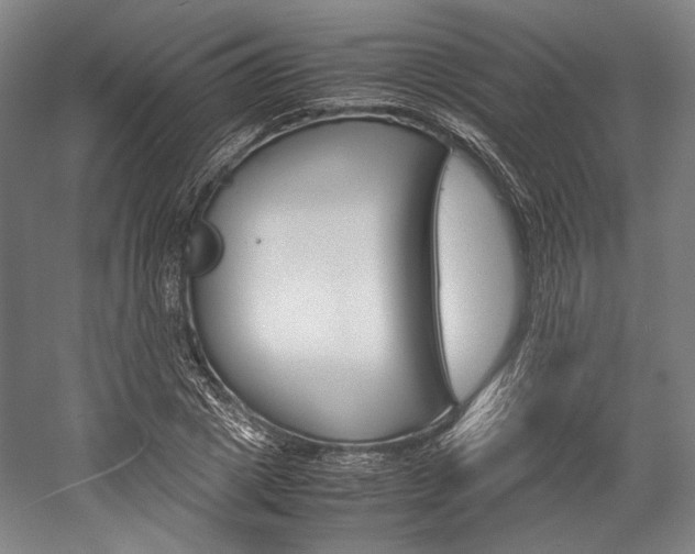 X0000057040833200509090814